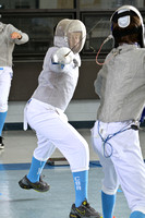 Fencing 2013